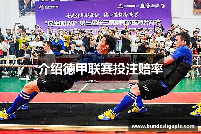 介绍德甲联赛投注赔率